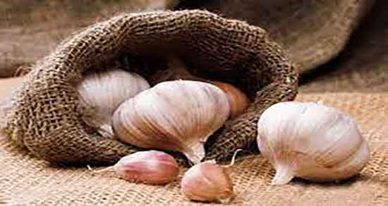 رشد مژه با سیر ؛ ایا ماساژ ابرو با سیر تازه برای رشد ان مفیده یا نه