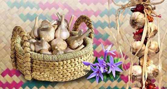 تداخل سیر با داروهای فشار خون ؛ چرا نباید سیر را با داروهای فشار خون خورد