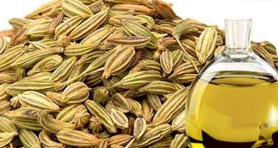 خواص روغن رازیانه ؛ برای حجم دهنده و موی سر و لاغری شکم
