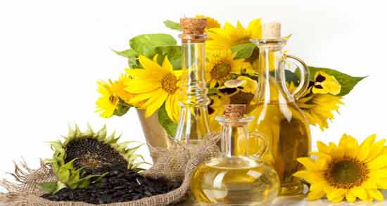 درصد روغن تخمه آفتابگردان ؛ چه میزان روغن در تخمه آفتابگردان وجود دارد