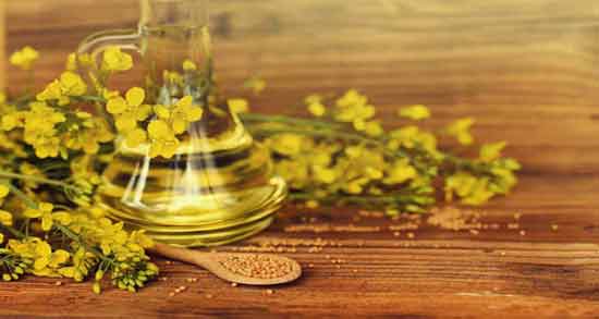 کالری روغن کلزا ؛ چه میزان کالری در روغن کلزا وجود دارد