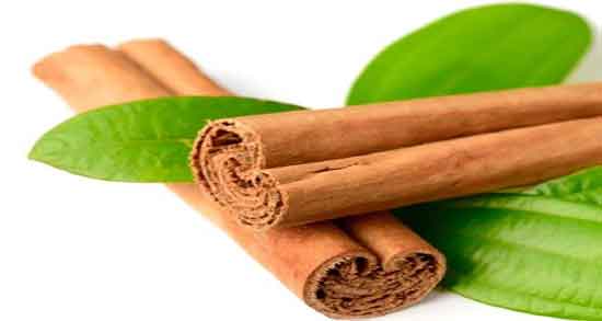 خواص دارچین برای باردار شدن ؛ فواید مصرف دارچین برای بارداری زنان