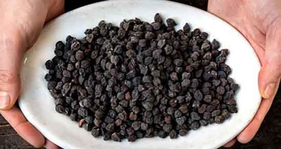 خواص نخود سیاه ؛ برای مردان و سرفه و مو و پختن و مضرات و طرز مصرف نخود سیاه
