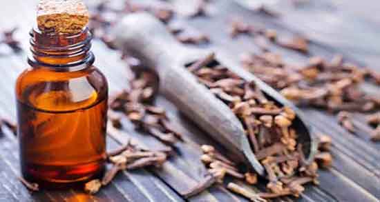 خواص روغن میخک ؛ برای زود انزالی و لاغری و دندان و درد مفاصل و عوارض و روش مصرف