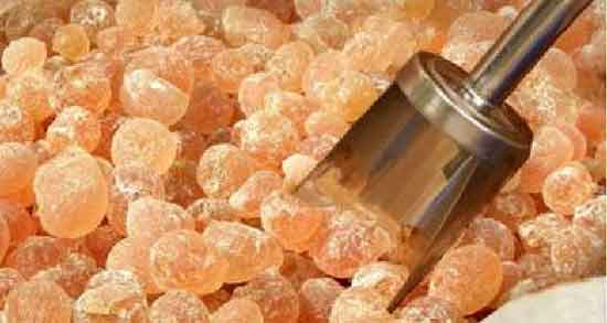 خواص مصطکی برای اسپرم دکتر خیراندیش باعسل برای بلغم و معده و قاعدگی