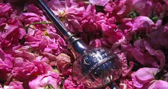 خواص گلاب برای مو نی نی سایت ؛ تاثیر استفاده از گلاب برای افزایش درخشندگی مو