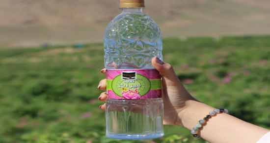 خواص گلاب برای پوست و مو ؛ حفظ سلامتی پوست و مو با مصرف گلاب