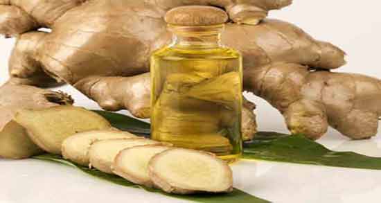 طبع روغن زنجبیل ؛ آشنایی با خواص درمانی و طبع روغن زنجبیل