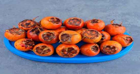 ازگیل ژاپنی در بارداری ؛ تاثیر استفاده از ازگیل ژاپنی برای زنان باردار