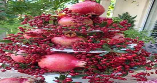 خواص انار سیاه برای سرفه ؛ فواید مصرف پوست انار سیاه برای درمان سرفه