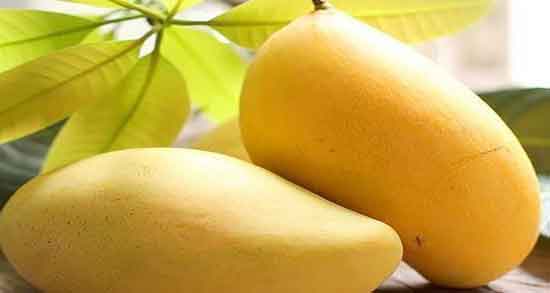 طبع موز و انبه ؛ ترکیب موز و انبه کنار هم طبع سردی دارد یا گرم