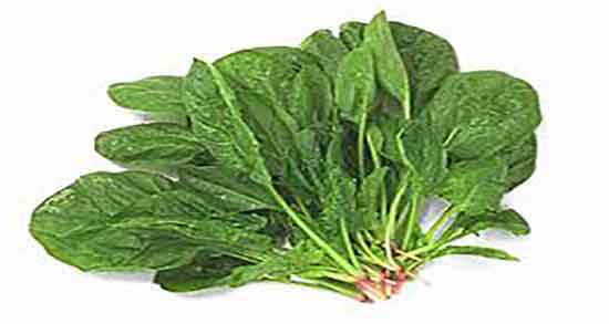 طرز تهیه اسفناج با تخمه مرغ ؛ دستور تهیه اسفناج با تخمه مرغ چگونه است