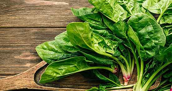 طرز تهیه اسفناج ؛ نحوه درست کردن اسفناج به روش سنتی چگونه است