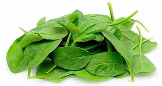 طرز تهیه نرگسی اسفناج با گردو ؛ دستور تهیه نرگسی اسفناج چگونه است
