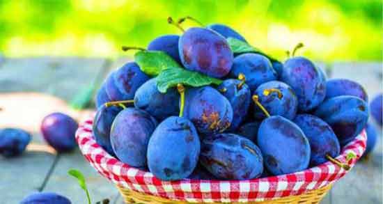 آلو قندی ؛ همه چیز درباره خاصیت و مضرات خوردن آلو قندی