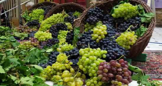 انگور در زیبایی جنین ؛ تاثیر خوردن انگور برای زیبایی جنین