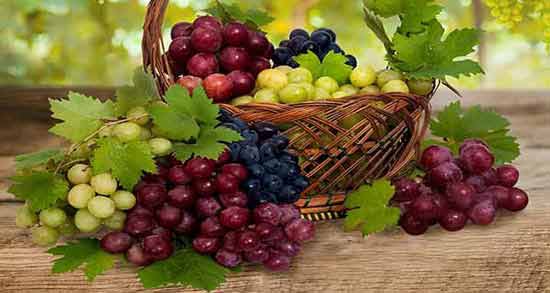 انگور و رنگ چشم جنین ؛ تاثیر خوردن انگور برای روشن شدن رنگ چشم جنین