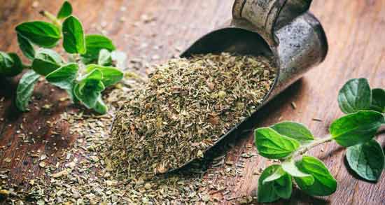 خواص آویشن برای عفونت کلیه ؛ فواید مصرف آویشن برای درمان عفونت کلیه