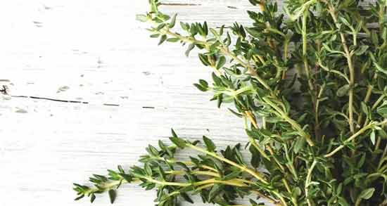 عوارض آویشن برای دیابت ؛ آشنایی با عوارض مصرف آویشن برای افراد دیابتی