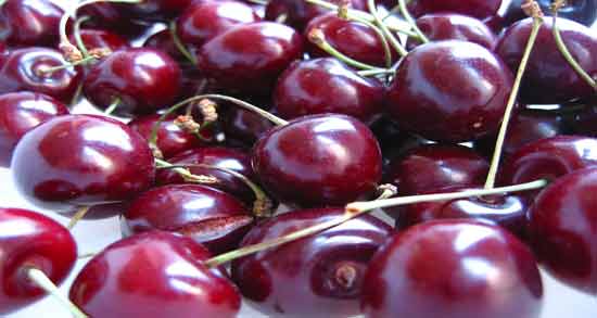 میزان قند آلبالو و گیلاس ؛ چه میزان قند در آلبالو و گیلاس وجود دارد