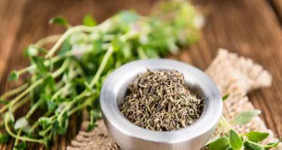 چند نوع آویشن داریم ؛ آشنایی با انواع مختلف آویشن