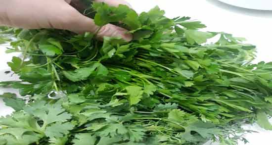 فرق ظاهری جعفری و گشنیز ؛ مقایسه تفاوت های ظاهری بین جعفری و گشنیز