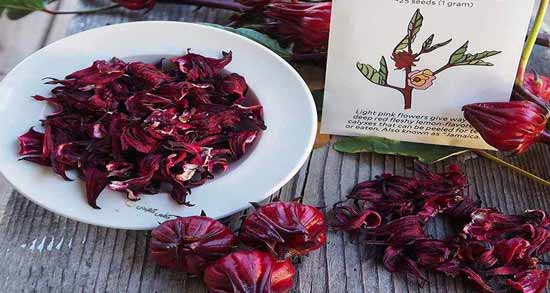 چای ترش با چی ترکیب کنیم ؛ در کنار چای ترش چه موادی می توانیم استفاده کنیم؟