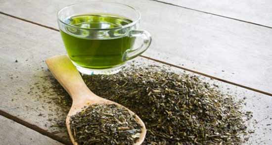 چای سبز برای چه سنینی مناسب است ؛ از چه سنی می توان چای سبز مصرف کرد؟