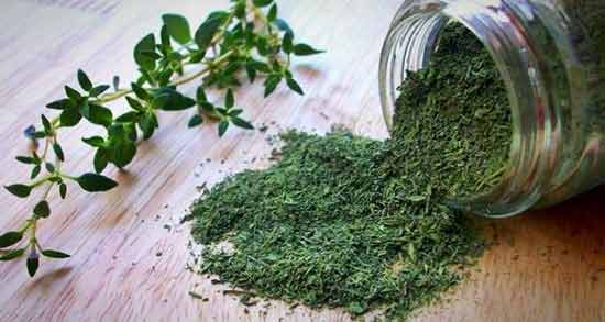 آویشن و عسل برای معده ؛ فواید مصرف آویشن و عسل برای سلامت معده