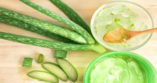 ترکیب حنا و آلوئه ورا ؛ همه چیز درباره خاصیت مصرف حنا و آلوئه ورا