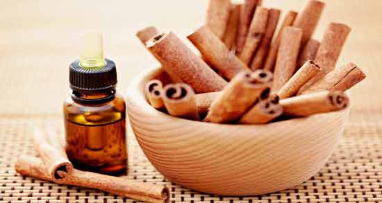طریقه مصرف دارچین ؛ روش صحیح استفاده از دارچین