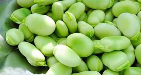 عوارض خوردن باقلا خام ایا مصرف باقالا سبز خام برای کم خونی مضر است