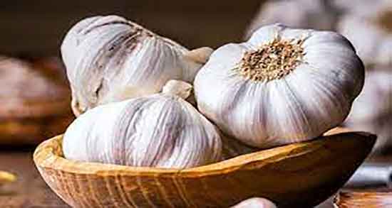 از بین بردن شپشک برنج با سیر ایا استفاده از سیر برای شپشک برنج خوبه