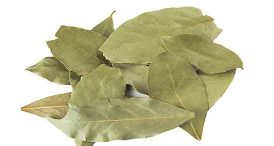 طرز استفاده برگ بو در مرغ دستور مصرف برگ بو برای انواع خورش و غذا ها