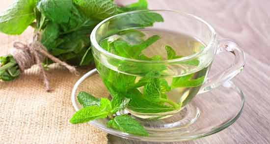خاصیت دمنوش پونه و نعناع آشنایی با خواص دارویی مصرف دمنوش پونه و نعناع برای سلامتی
