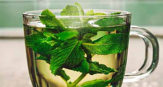 طرز تهیه دمنوش نعناع و نبات آموزش درست کردن دمنوش نعناع و نبات در منزل به روشی آسان