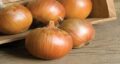 بهترین نوع پیاز برای پیاز داغ و انواع پیاز داغ و بهترین پیاز برای خام خوردن