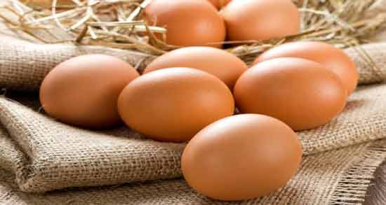 تعبیر خواب تخمه مرغ نی نی سایت معنی تخمه مرغ در خواب های ما چیست