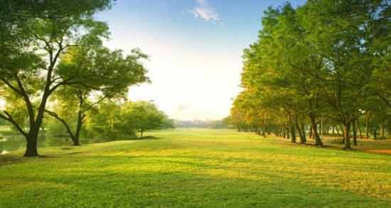 تعبیر خواب مزرعه امام صادق معنی مزرعه در خواب های ما از نظر امام صادق چیست