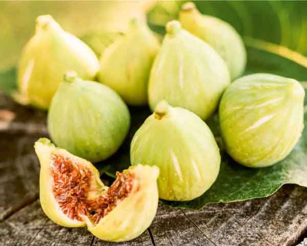تعبیر خواب چیدن انجیر سفید از درخت + معنی چیدن انجیر سفید از درخت در خواب چیست