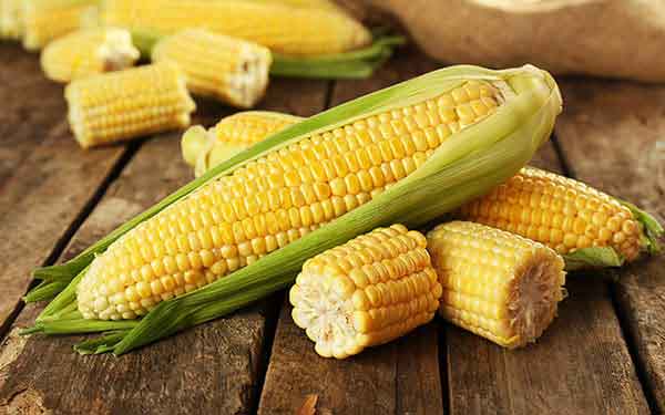 تعبیر خواب گرفتن ذرت از مرده + معنی گرفتن ذرت از مرده در خواب های ما چیست