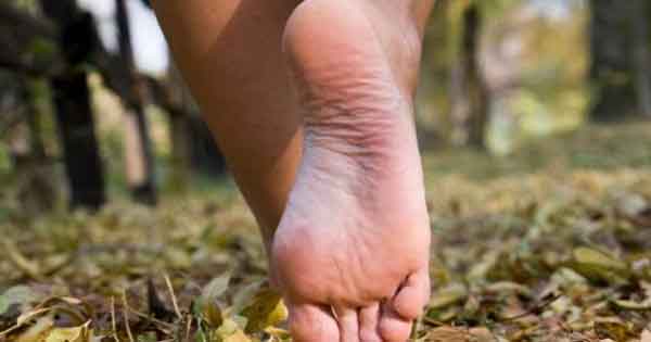 تعبیر خواب پای برهنه برای دختر مجرد از نظر امام صادق و حضرت یوسف و ابن سیرین
