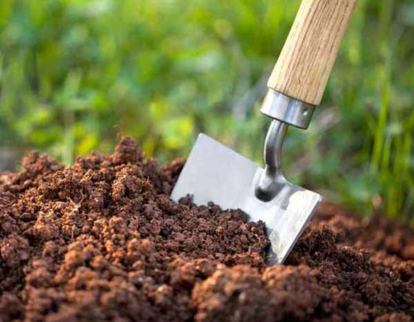تعبیر خواب خاک زمین کشاورزی + معنی خاک زمین کشاورزی در خواب چیست