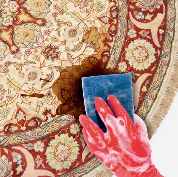 تعبیر خواب مدفوع سگ روی فرش + معنی مدفوع سگ روی فرش در خواب چیست