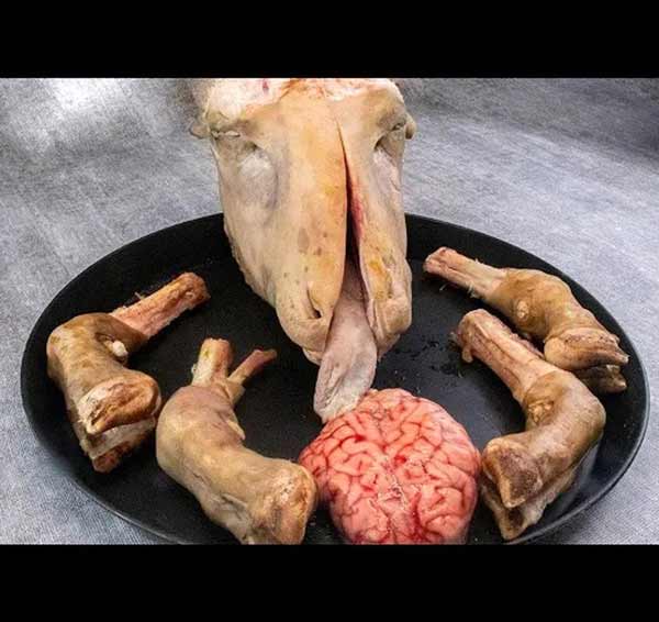 تعبیر خواب کله پاچه مرده + معنی کله پاچه مرده در خواب چیست