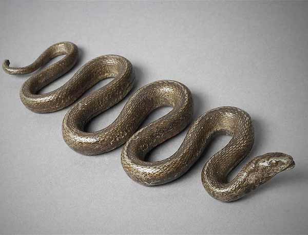 تعبیر خواب مار فولادی + معنی مار فولادی در خواب چیست